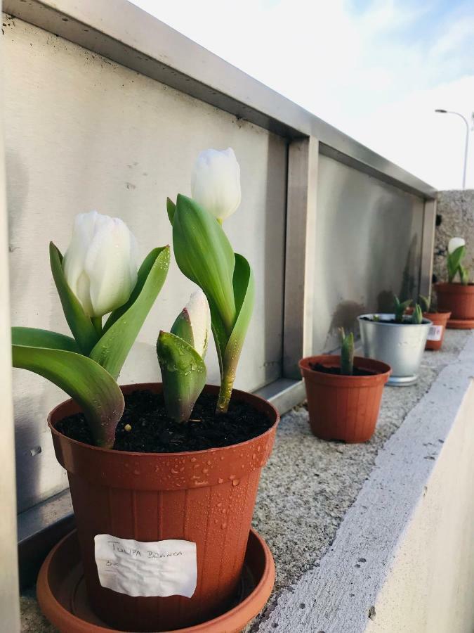 Boavista Villa Guesthouse Porto Eksteriør bilde